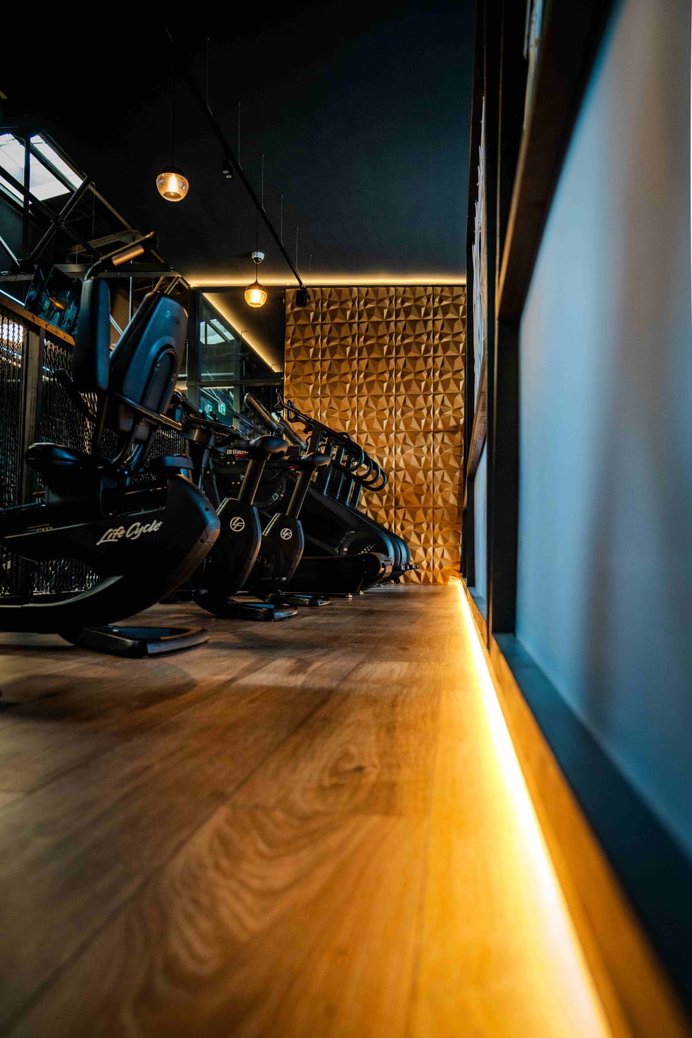 Cardio-Bereich mit Ergometern und Liegerädern an einer 3D-Wandpaneel-Wand im GymOne 24/7 Bitburg